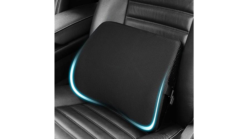 car and office lumbar pillow