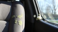 car interior mold prevention