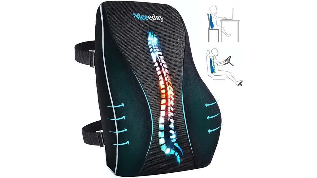 lumbar support pillow