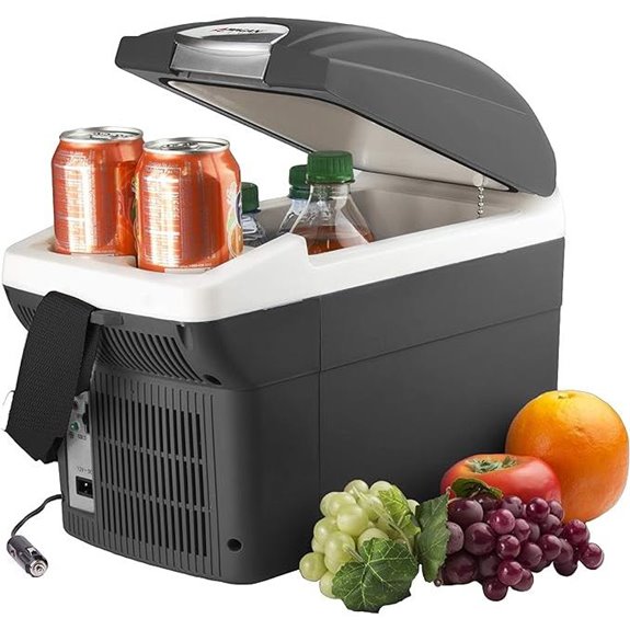 Wagan EL6206 12V Portable Thermoelectric Cooler/Warmer