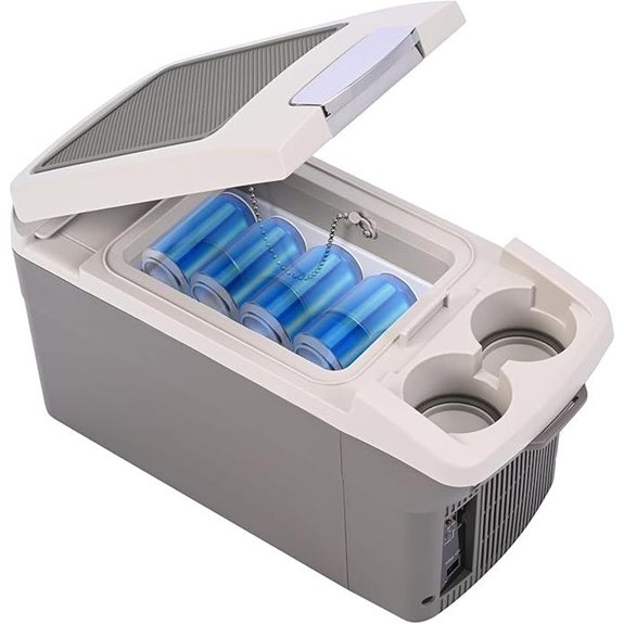 12V/110V Portable Car Cooler/Warmer Refrigerator