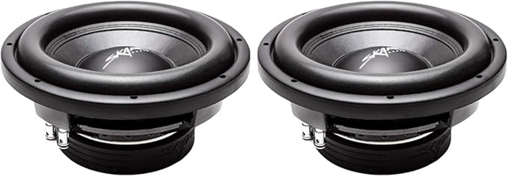 dual 2 ohm subwoofers
