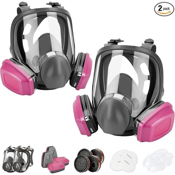 Full Face Respirator Mask with Filters (2 Pack)