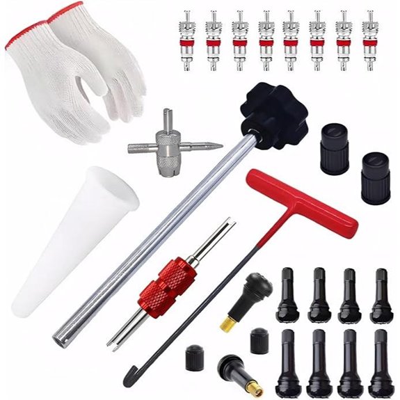 Valve Stem & Core Removal Tool Kit (2-in-1)