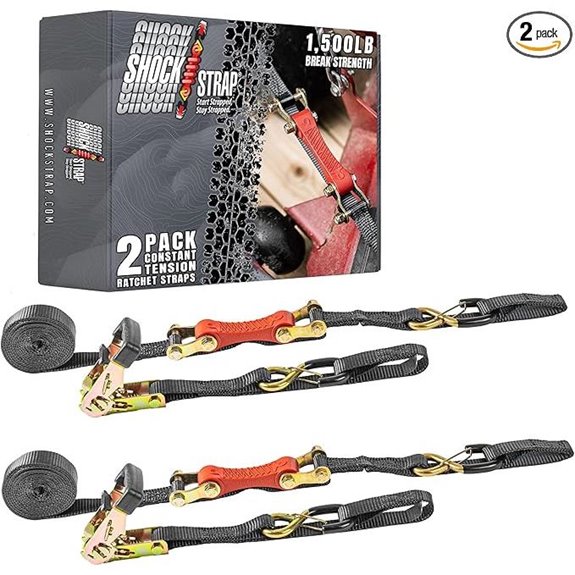 Heavy Duty 10' Shock Absorbing Cargo Tie Downs (2-Pack)