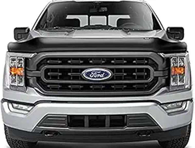 Auto Ventshade Bugflector Hood Shield for Ford F-150