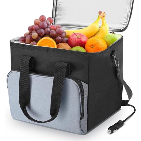 15L Portable Electric Cooler Bag with Shoulder Strap