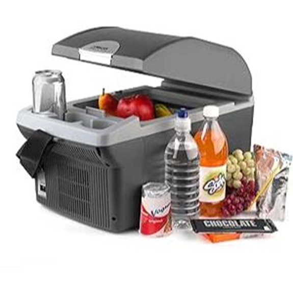 Wagan EL6214 Portable Thermoelectric Cooler/Warmer