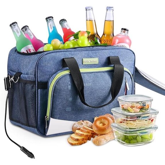 Electric Portable Cooler and Warmer Bag for Vehicles