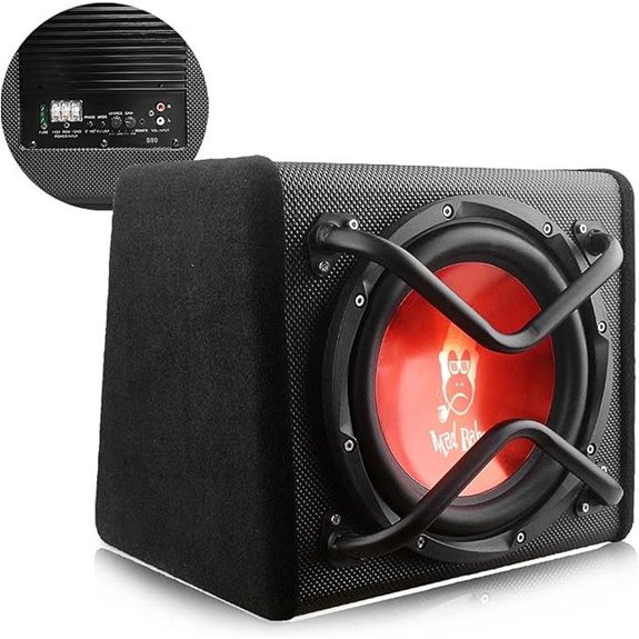 1000W 10-inch Car Subwoofer with Enclosure and Amp