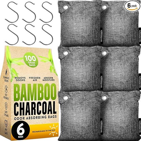 Charcoal Odor Absorber Bags (6-Pack)