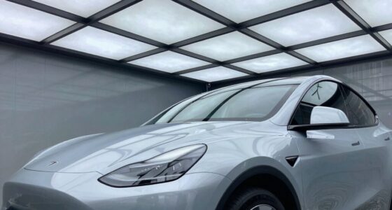 tesla glass roof sunshades