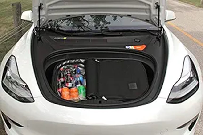 Tesloid Tesla Model 3 Frunk Cooler Food Bag