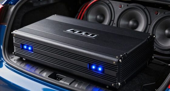 top monoblock amp picks