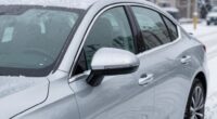 winter car mirror covers