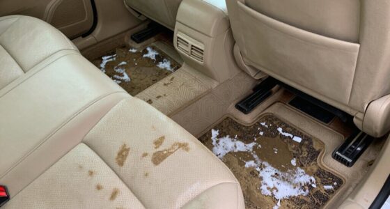 cleaning car interior messes