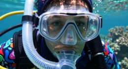 evaluating snorkel investment value