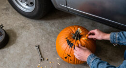 15 Best Halloween Picks for Parties, Treats, and Decorations in 2027