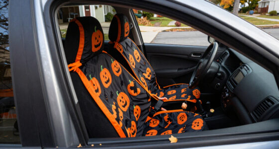4 Best Halloween Car Seat Covers in 2027